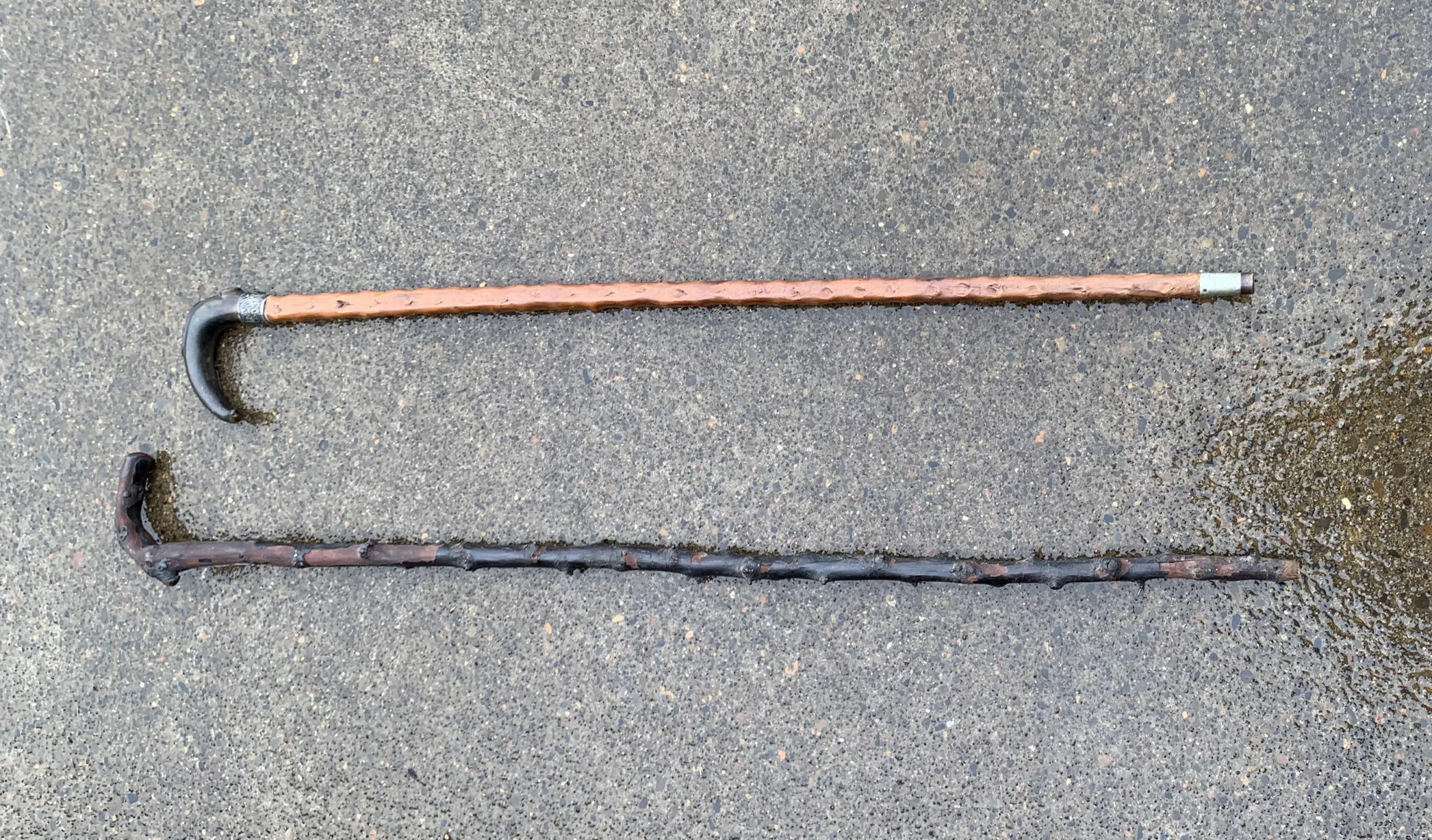 Blackthorn Walking Stick or Weapon